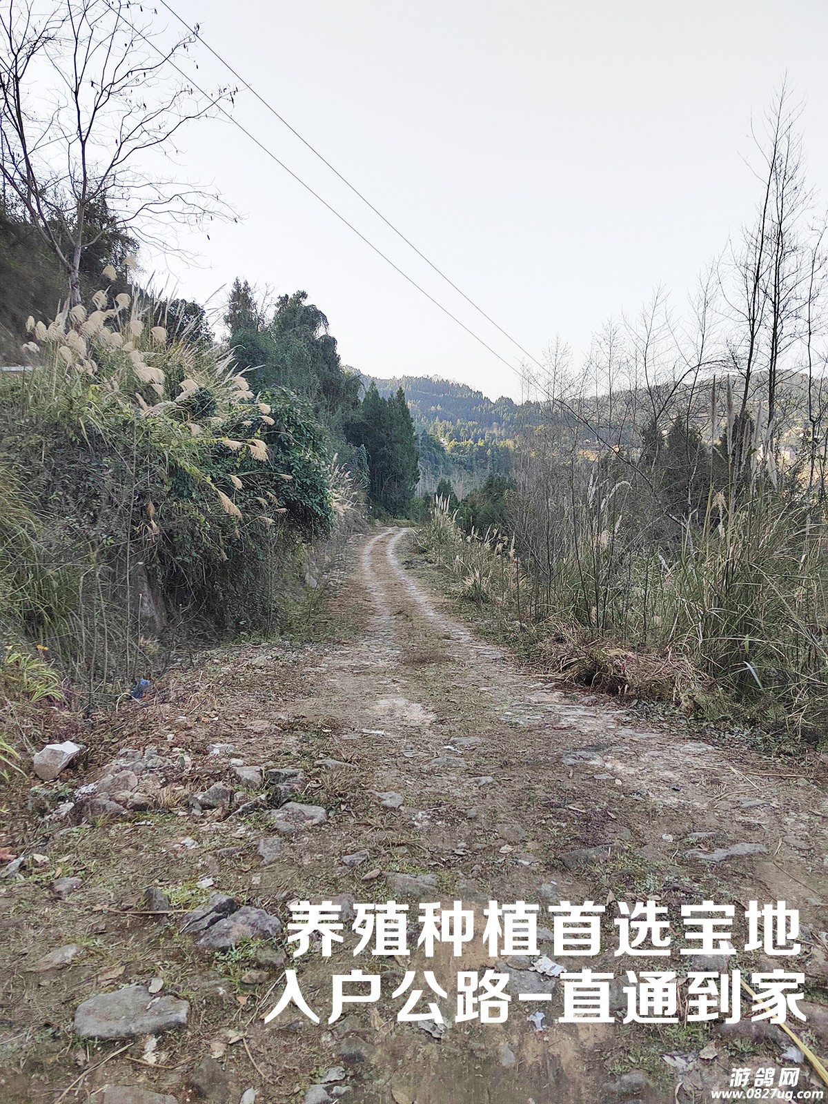 入户1.jpg