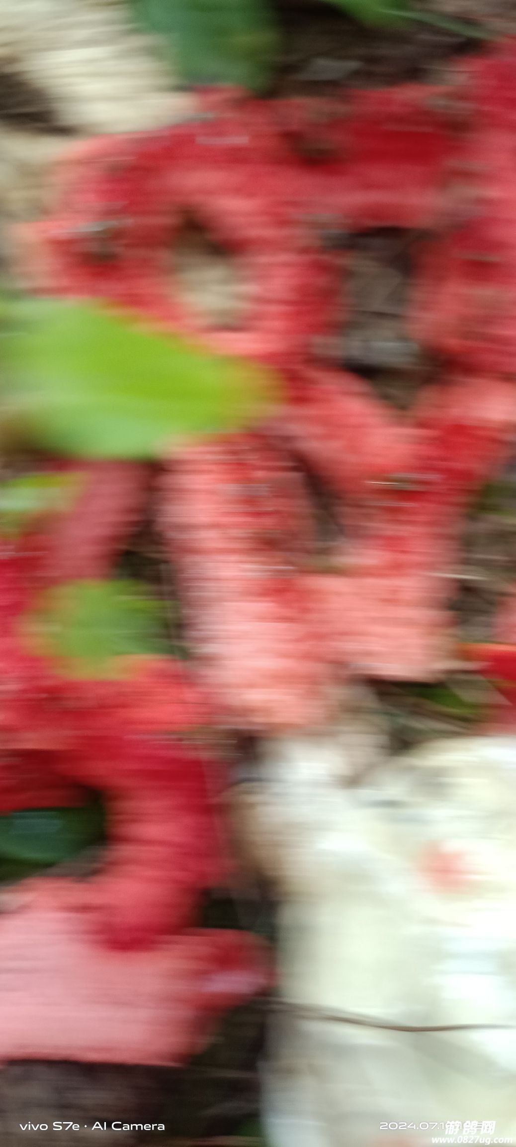 20240716201756front2_0_140680_FpRQrvrOOup31AG7vH-aWkxcB3B_.jpg