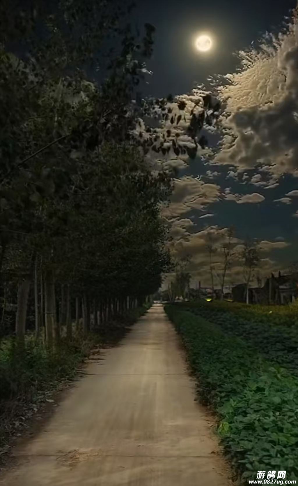 20250222004938front2_0_236329_Fm1_Ua5n5craWeVsv8ryk9CyVJE2.jpg