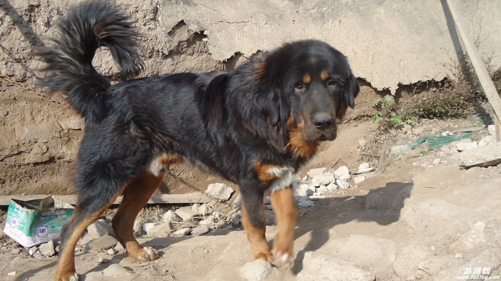 20250526221319front2_0_210408_FuLJuy14SbNm1IJRGeXHvasqvxiD.jpg