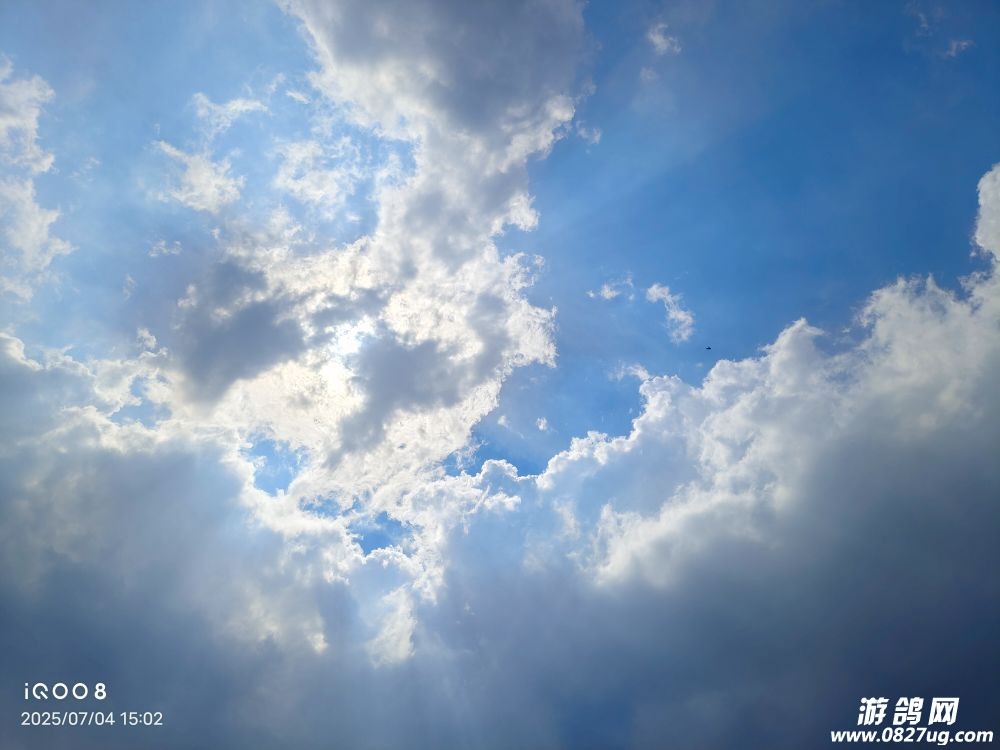 20250704215600front2_0_236520_FsHl-odB2X4ORUH8Xdnu1BDBgDBj.jpg