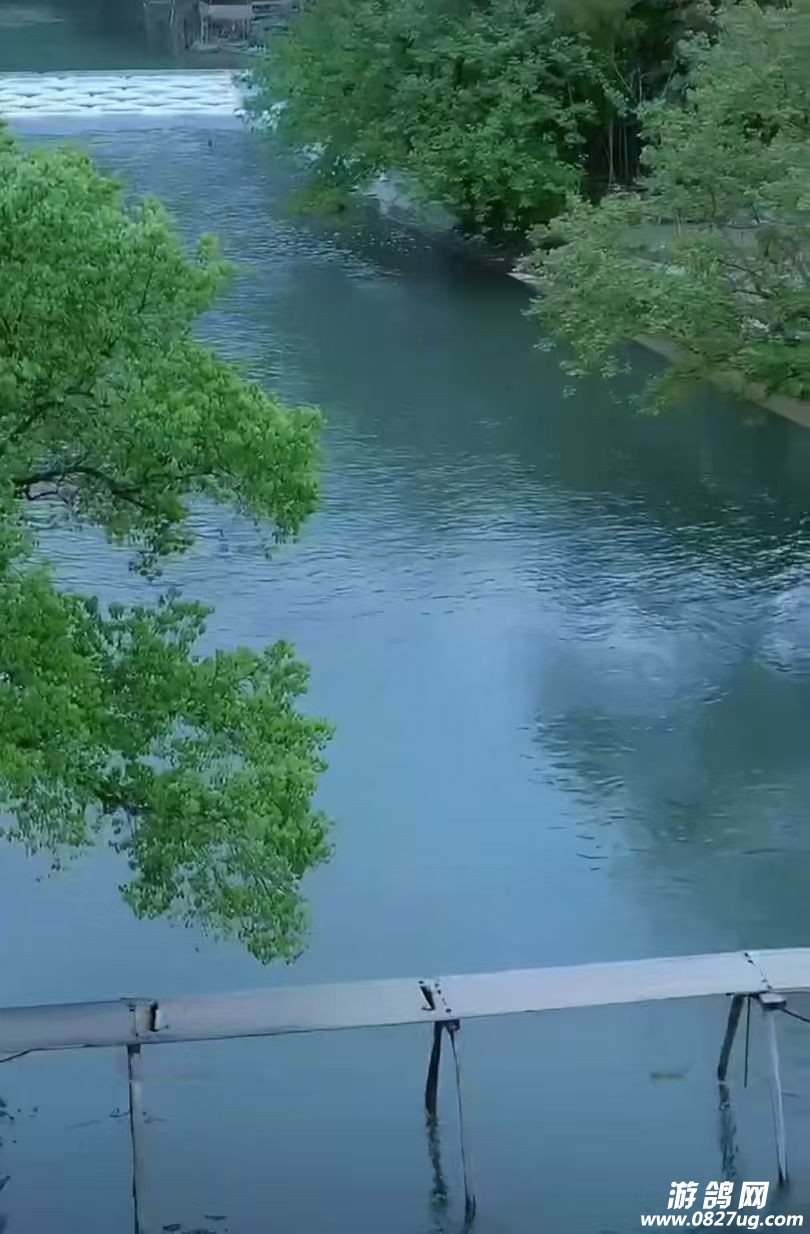 人生没有什么破产