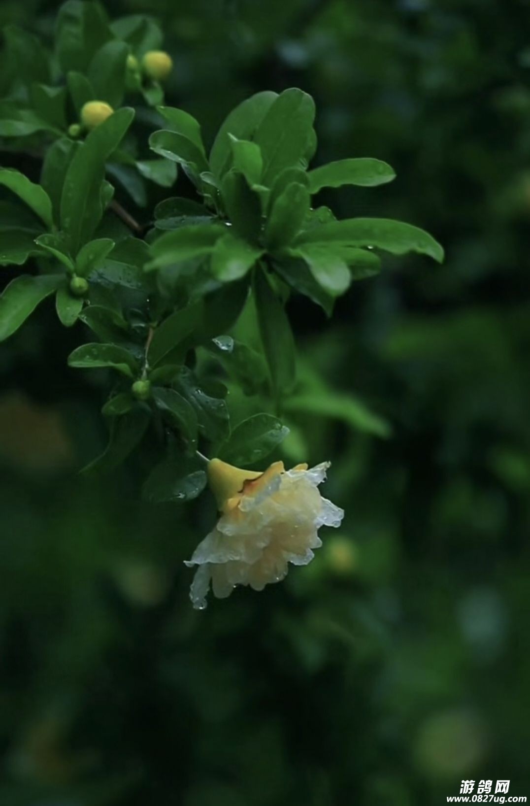 ��������������û�о��ԵĻ����飬������̬�ã�����ʯҲ�ܳ�Ϊ��ĵ��ʯ����