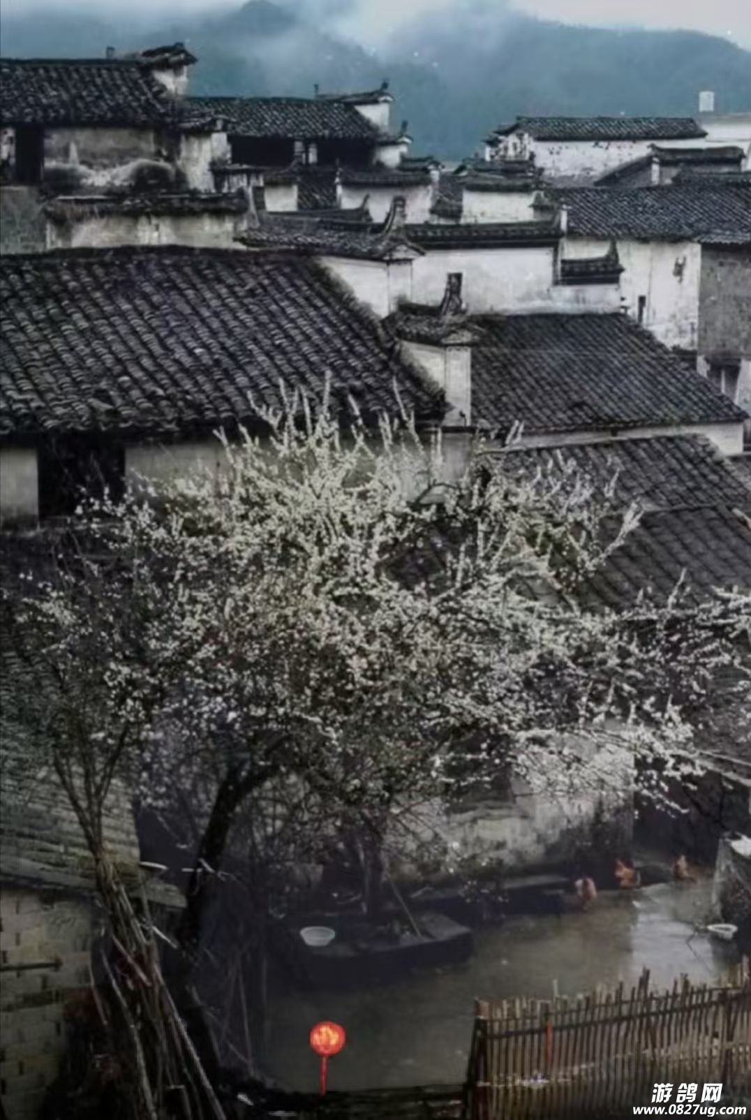 ʦ����Ц��