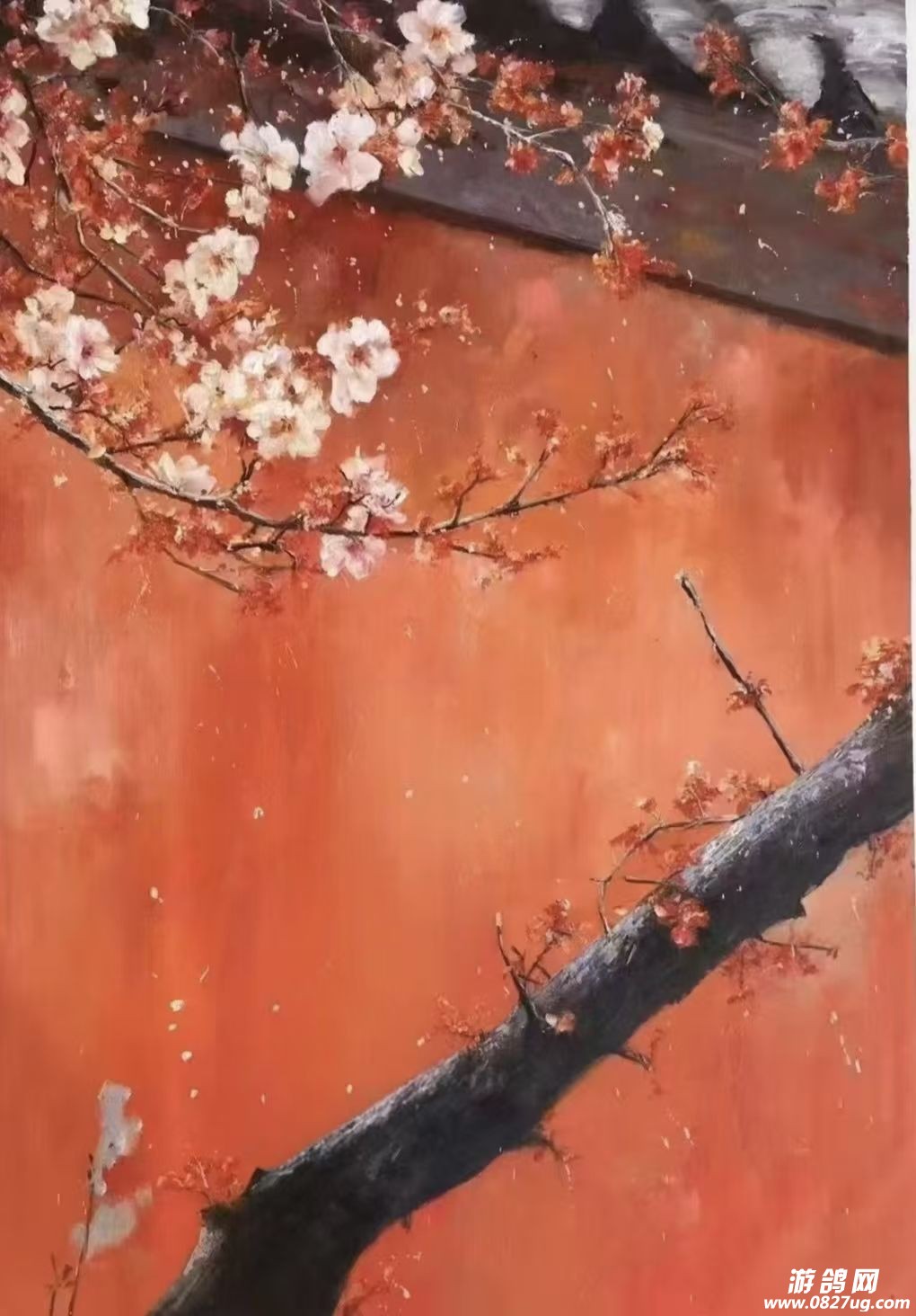 �в�ȢŮ����