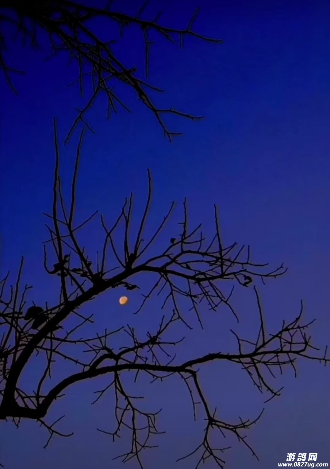 ��������һ��֮����