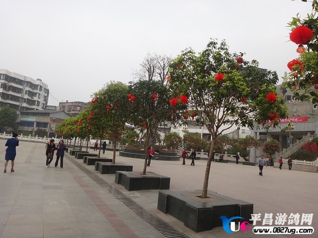 img005.jpg