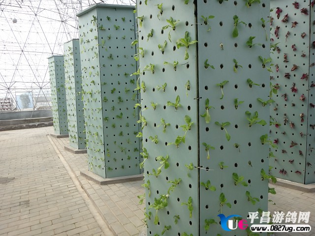 img027.jpg