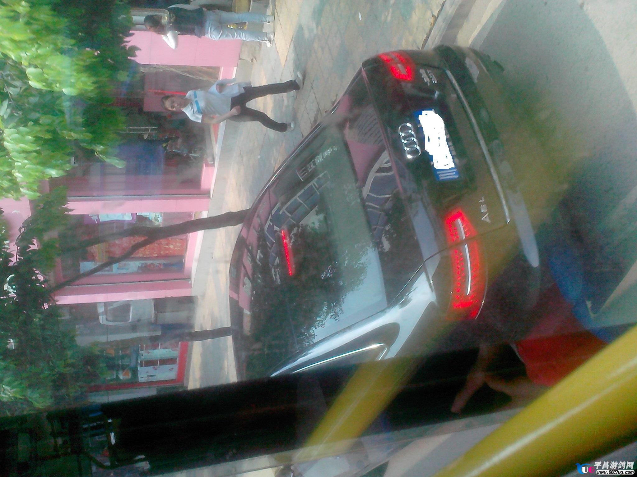 IMG20130418086.jpg