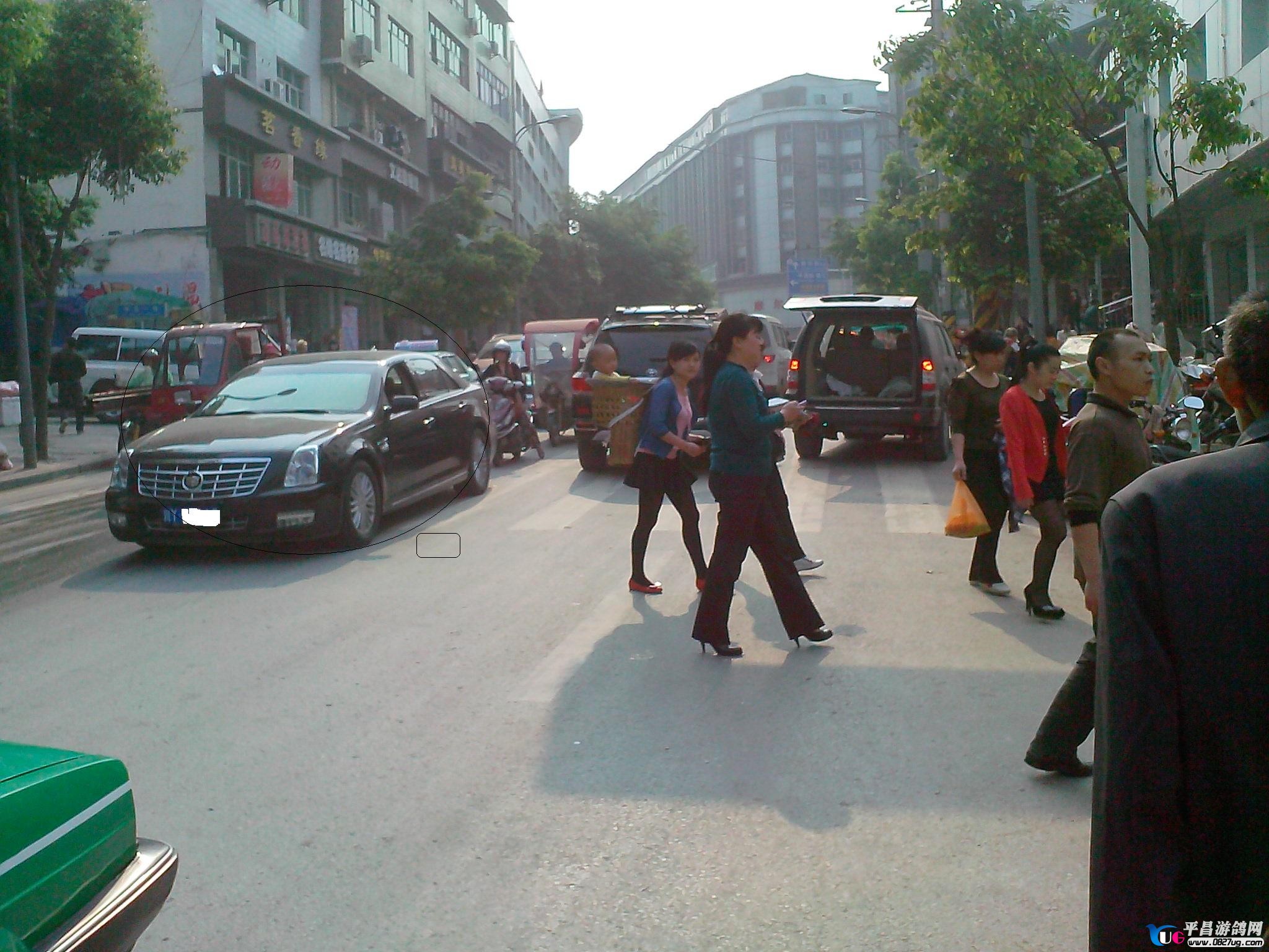IMG20130418009.jpg